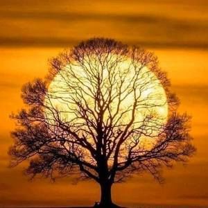 Meet your Posher, Tonya